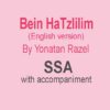 Bein HaTzlilim - SSA